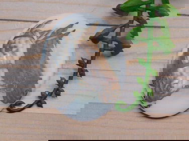 HORSE CABOCHON ROCK STONE LAPIDARY SPECIMEN