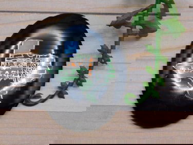 TEXAS CABOCHON ROCK STONE LAPIDARY SPECIMEN