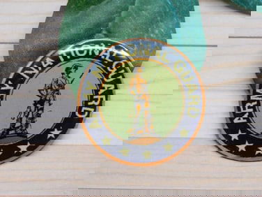 ARMY NATIONAL GUARD CABOCHON ROCK STONE LAPIDARY SPECIMEN