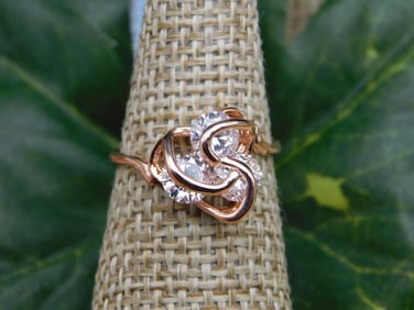 STONE RING ROCK STONE LAPIDARY SPECIMEN