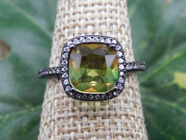 STONE RING ROCK STONE LAPIDARY SPECIMEN