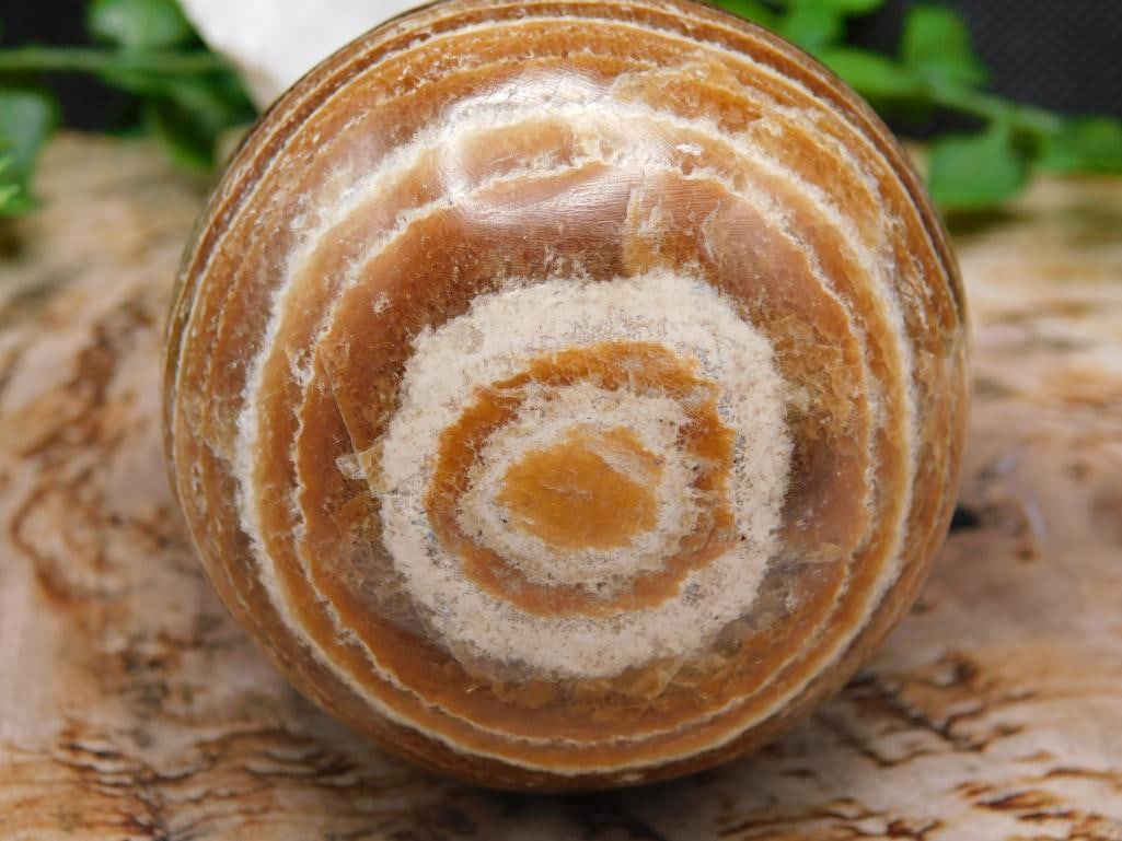 JEWELRY SALE! ROCK STONE LAPIDARY SPECIMEN (1 of 2)