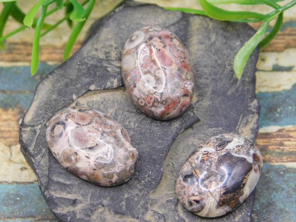 JEWELRY SALE! ROCK STONE LAPIDARY SPECIMEN (1 of 2)