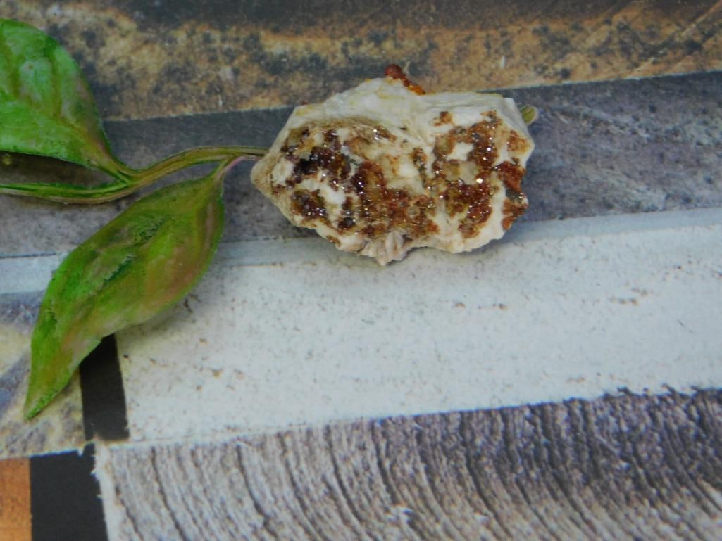 ROCK STONE LAPIDARY SPECIMEN: ROCK STONE LAPIDARY SPECIMEN