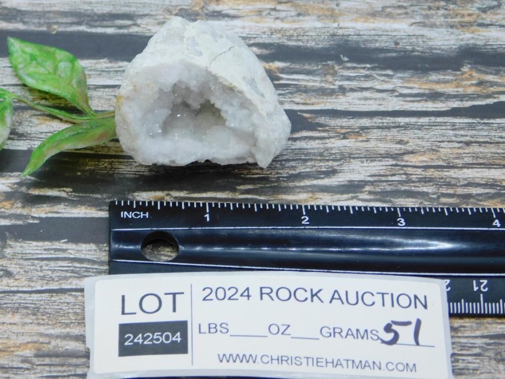 GEODE ROCK STONE LAPIDARY SPECIMEN - 2