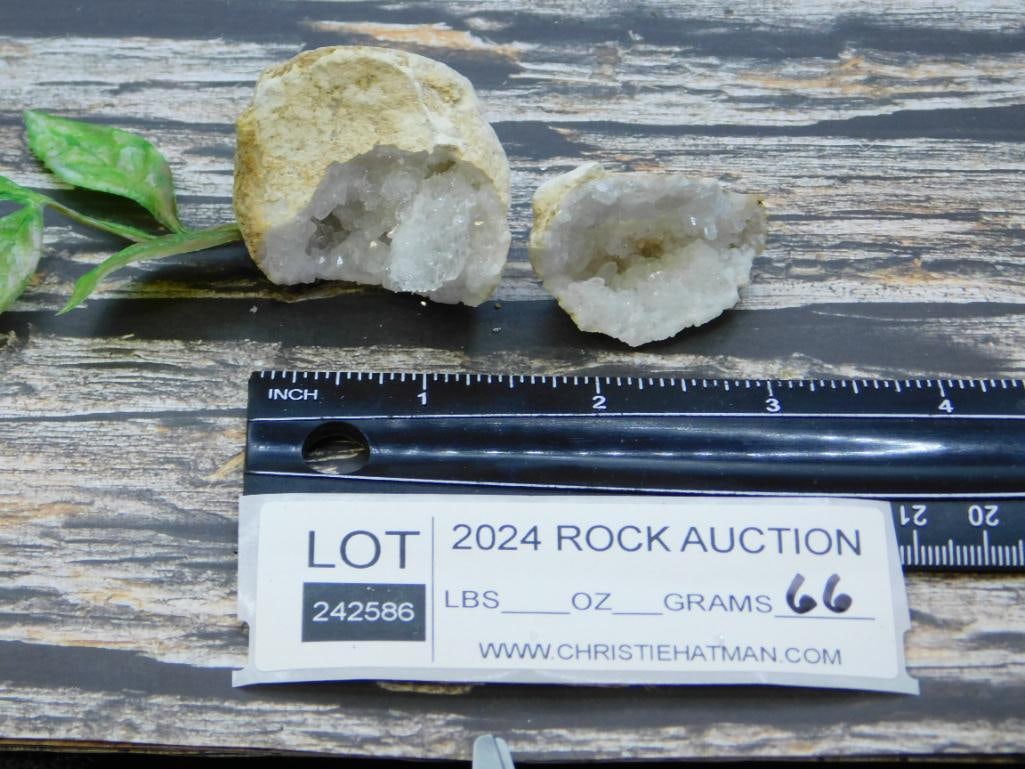 GEODE ROCK STONE LAPIDARY SPECIMEN - 2