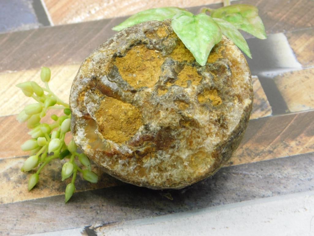 ROCK STONE LAPIDARY SPECIMEN: ROCK STONE LAPIDARY SPECIMEN