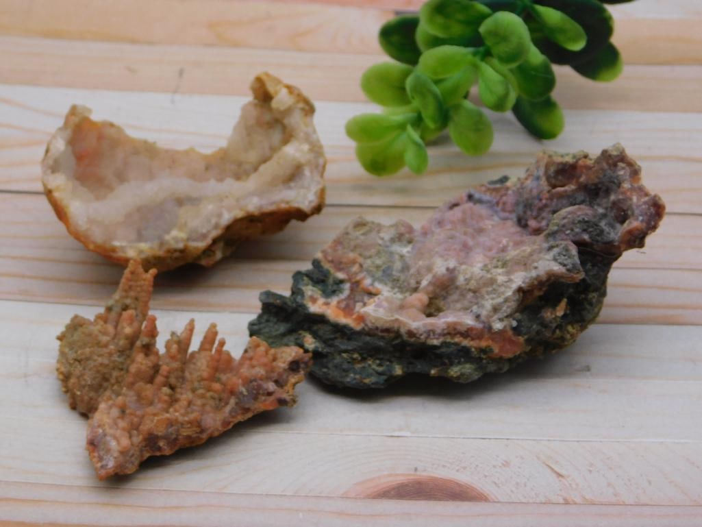 FOSSILIZED CORAL ROCK STONE LAPIDARY SPECIMEN (1 of 2)