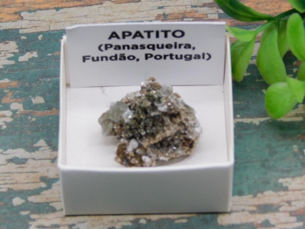 APATITE ROCK STONE LAPIDARY SPECIMEN: APATITE ROCK STONE LAPIDARY SPECIMEN