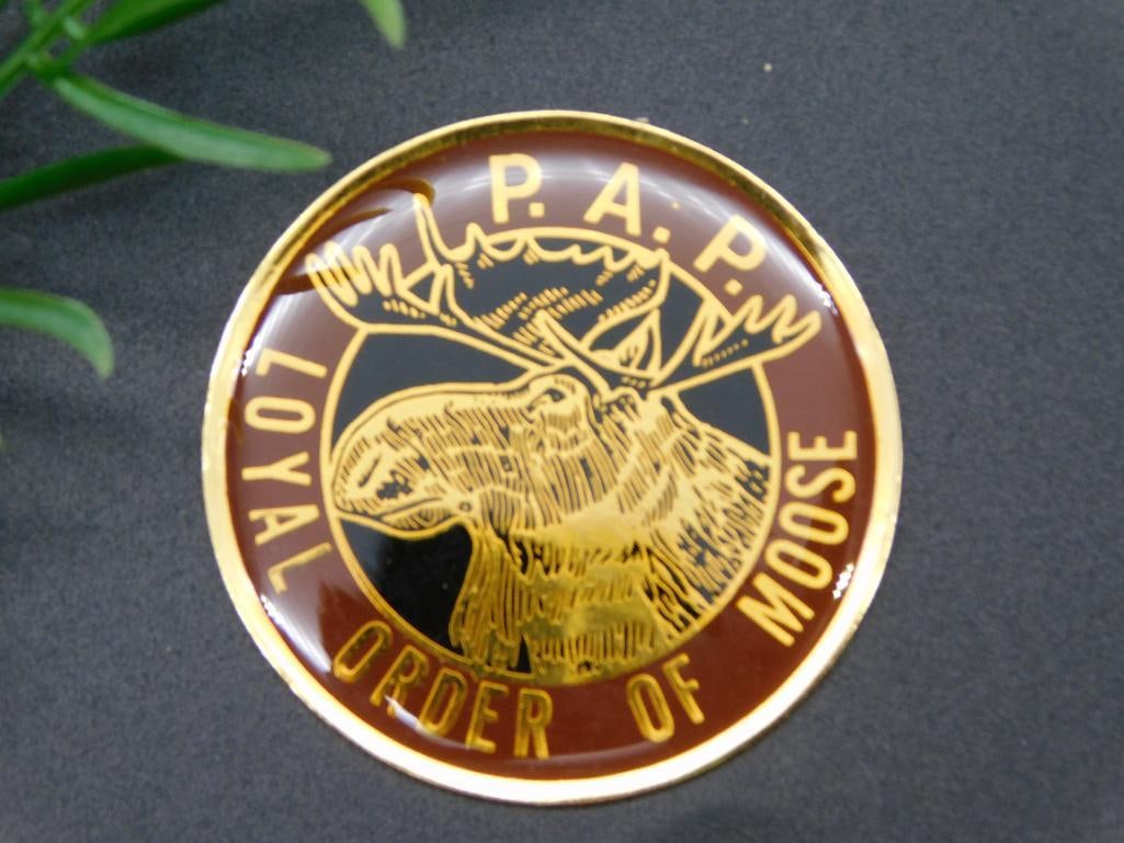 LOYAL ORDER OF MOOSE CABOCHON MEDALLION: LOYAL ORDER OF MOOSE CABOCHON MEDALLION