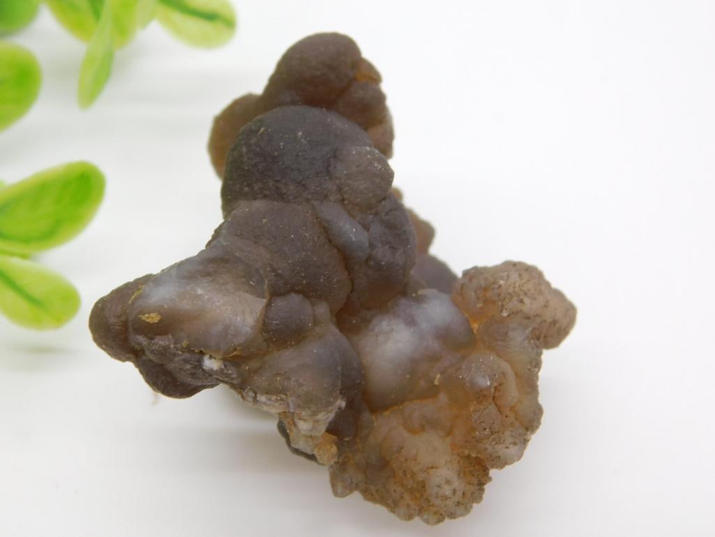 BOTRYOIDAL CHALCEDONY ROCK STONE LAPIDARY SPECIMEN (1 of 2)