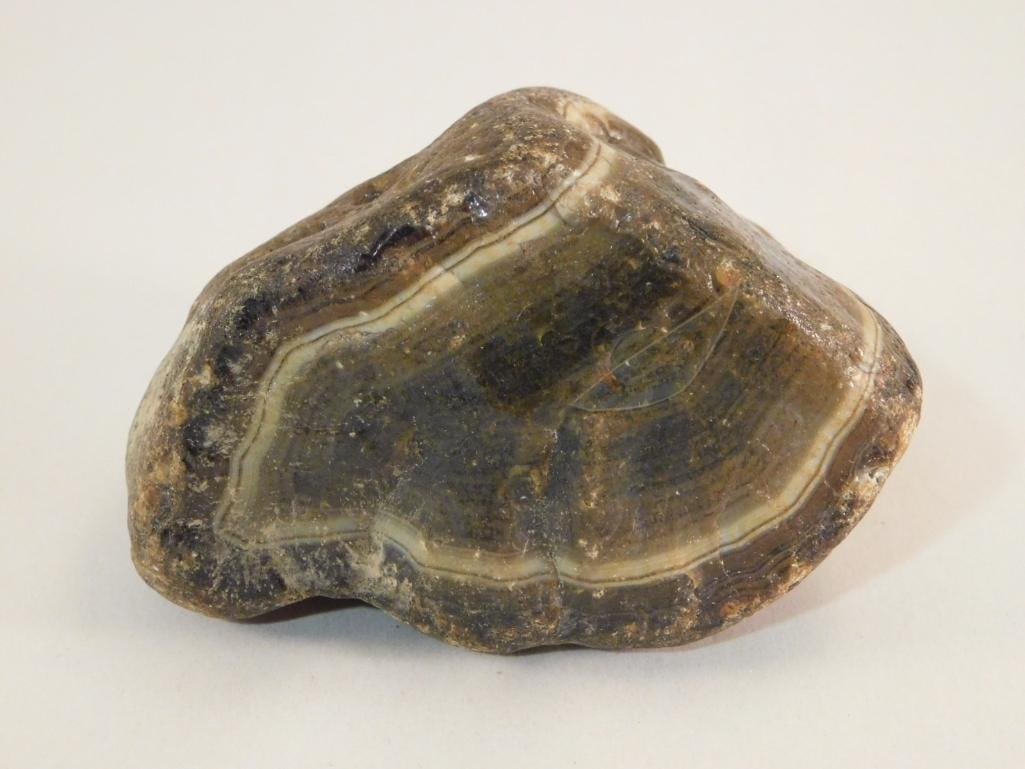 BRAZILIAN AGATE ROCK STONE LAPIDARY SPECIMEN (1 of 2)