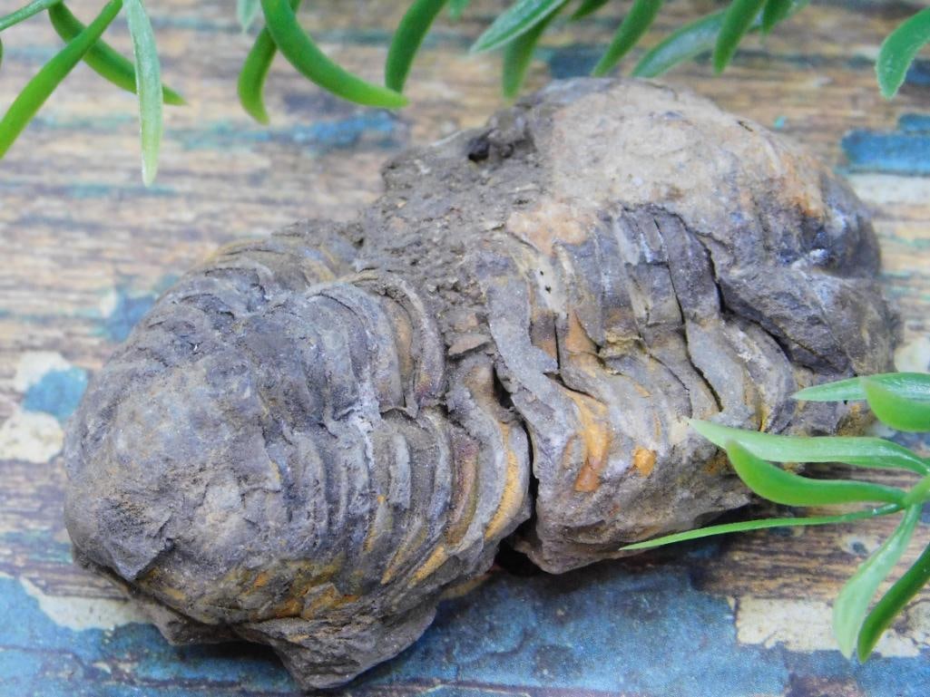 JEWELRY SALE! ROCK STONE LAPIDARY SPECIMEN (1 of 2)