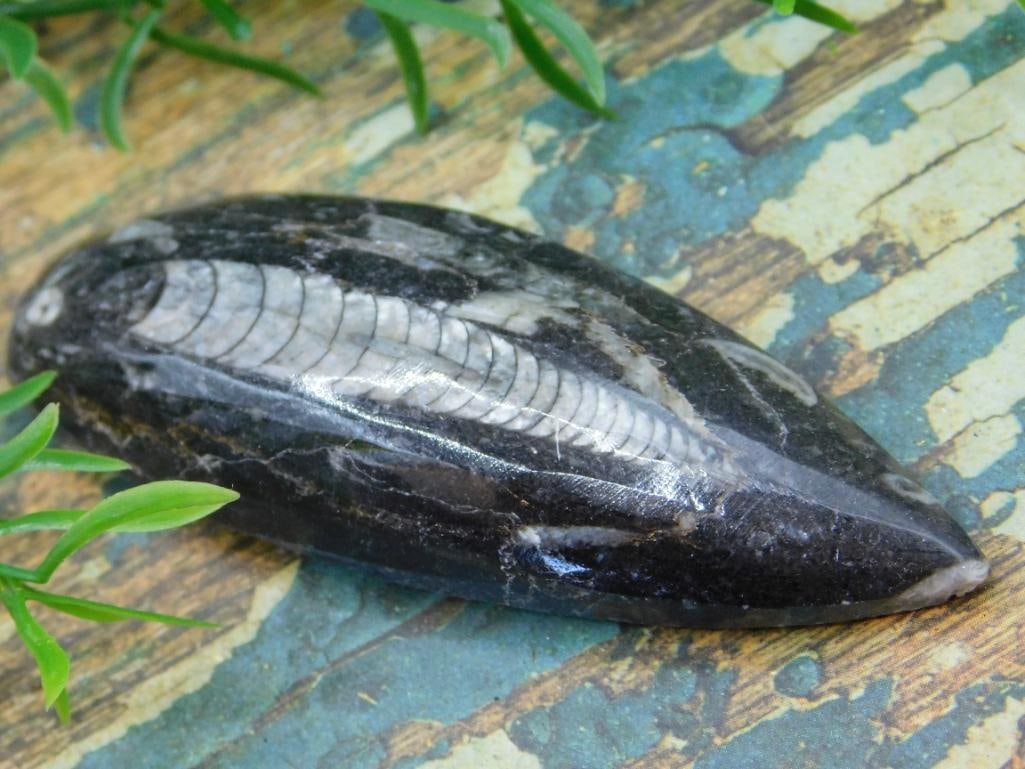 JEWELRY SALE! ROCK STONE LAPIDARY SPECIMEN (1 of 2)