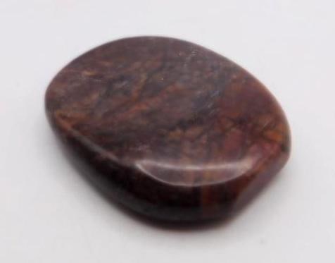 NETWORK JASPER PALM STONE ROCK STONE LAPIDARY SPECIMEN (1 of 2)