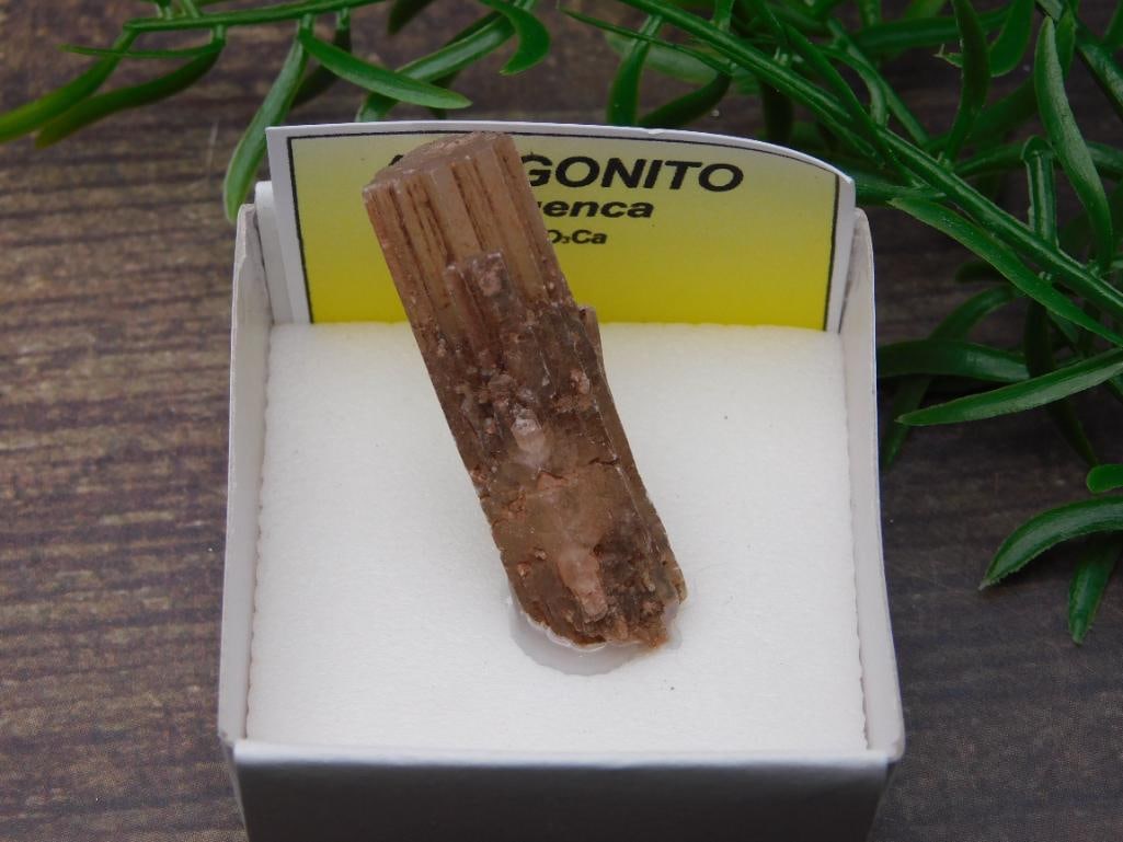 SPECIAL JEWELRY SALE! SEE PHOTOS FOR DETAILS: SPECIAL JEWELRY SALE! SEE PHOTOS FOR DETAILS