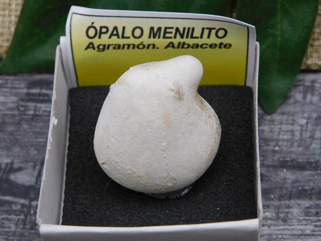 SPECIAL JEWELRY SALE! SEE PHOTOS FOR DETAILS: SPECIAL JEWELRY SALE! SEE PHOTOS FOR DETAILS