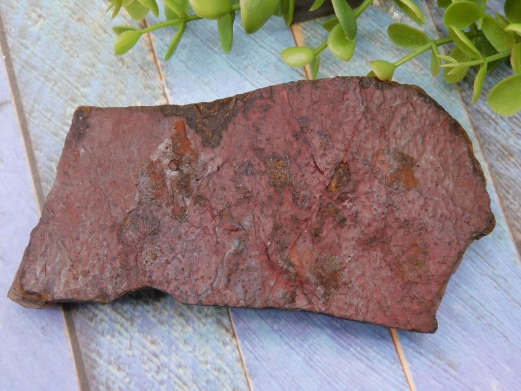 Rock Stone Lapidary Specimen: Rock Stone Lapidary Specimen