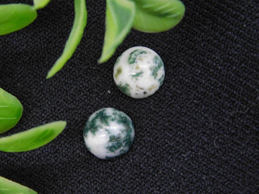 Tree Agate Cabochons: Tree Agate Cabochons