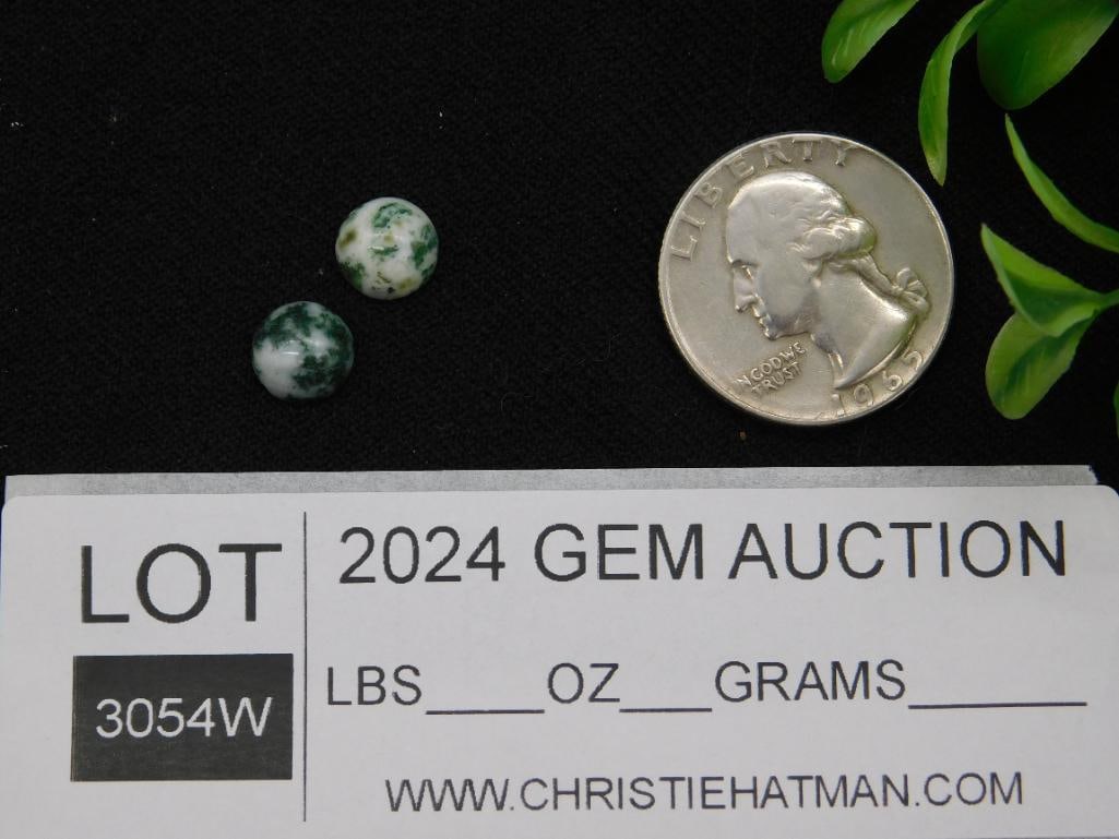 Tree Agate Cabochons - 2