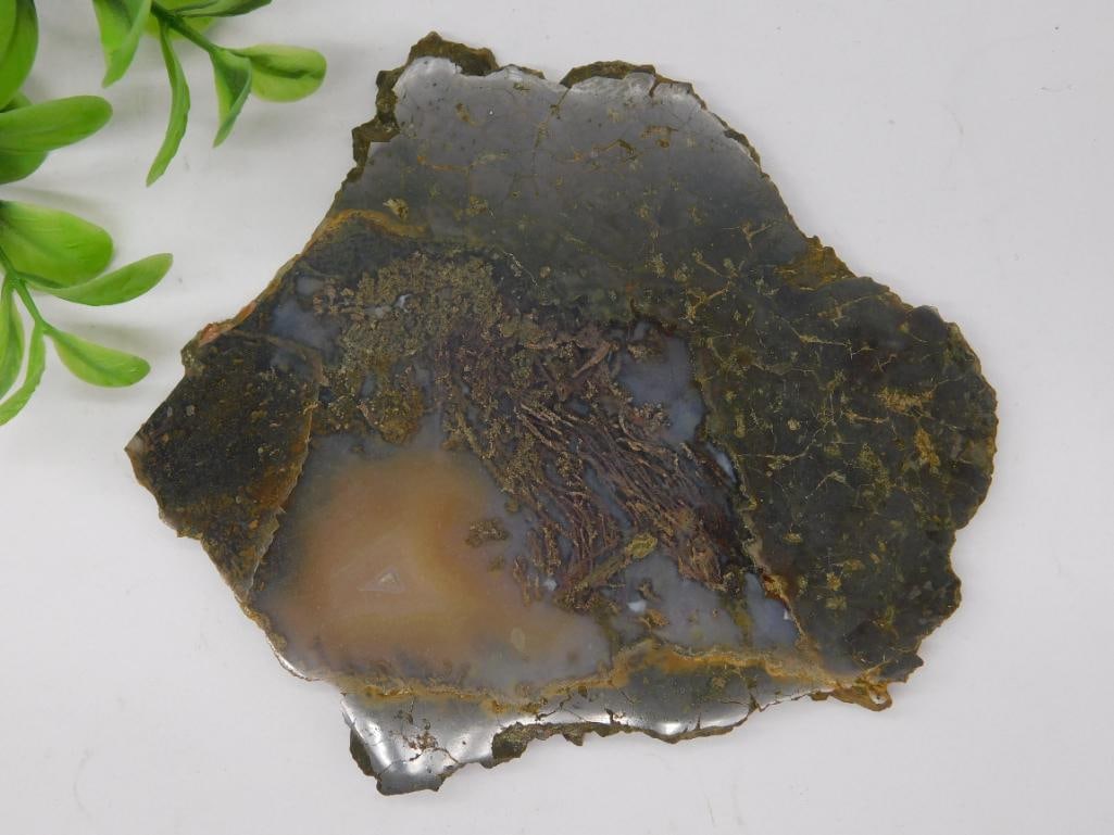 Polished Agate Slice with Unique Pattern: Polished Agate Slice with Unique Pattern