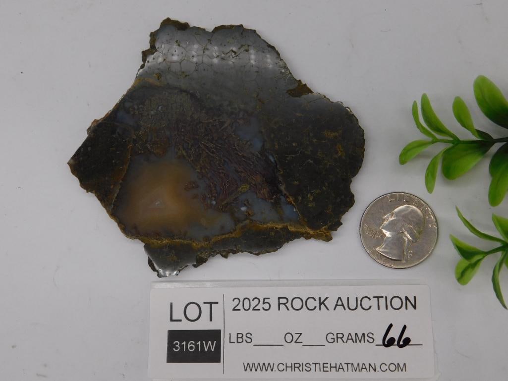 Polished Agate Slice with Unique Pattern - 3