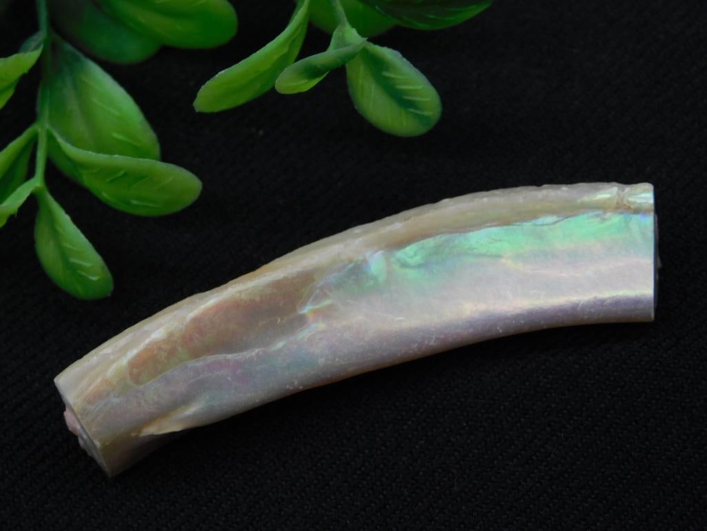 Polished Iridescent Shell Fragment with Label: Polished Iridescent Shell Fragment with Label