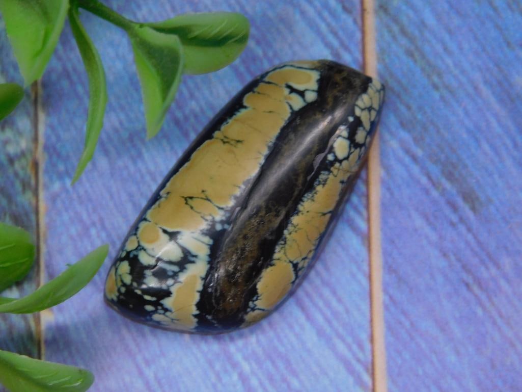 Polished Rock Stone Lapidary Specimen with Unique Patterning: Polished Rock Stone Lapidary Specimen with Unique Patterning