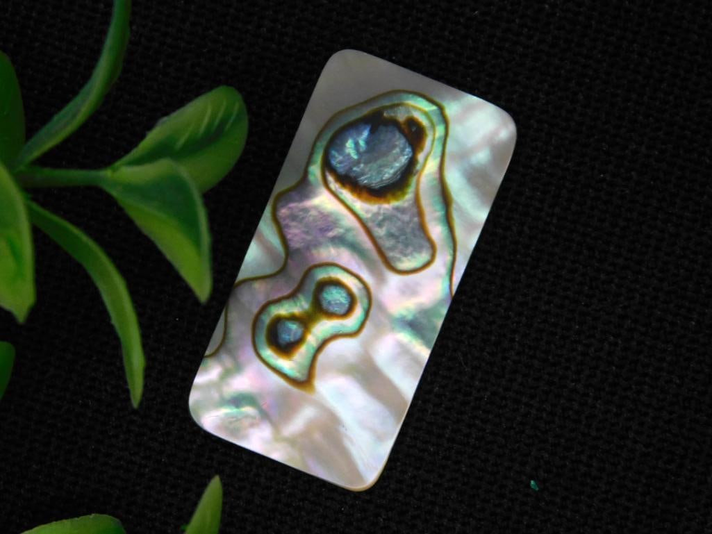 ABALONE RECTANGLE CABOCHON ROCK STONE LAPIDARY SPECIMEN: ABALONE RECTANGLE CABOCHON ROCK STONE LAPIDARY SPECIMEN