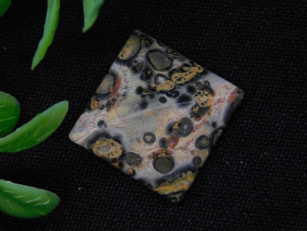 LEOPARD SKIN JASPER CABOCHON ROCK STONE LAPIDARY SPECIMEN (1 of 2)