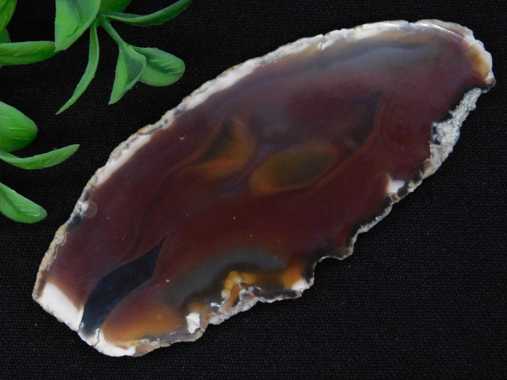 AGATE SLICE ROCK STONE LAPIDARY SPECIMEN (1 of 2)