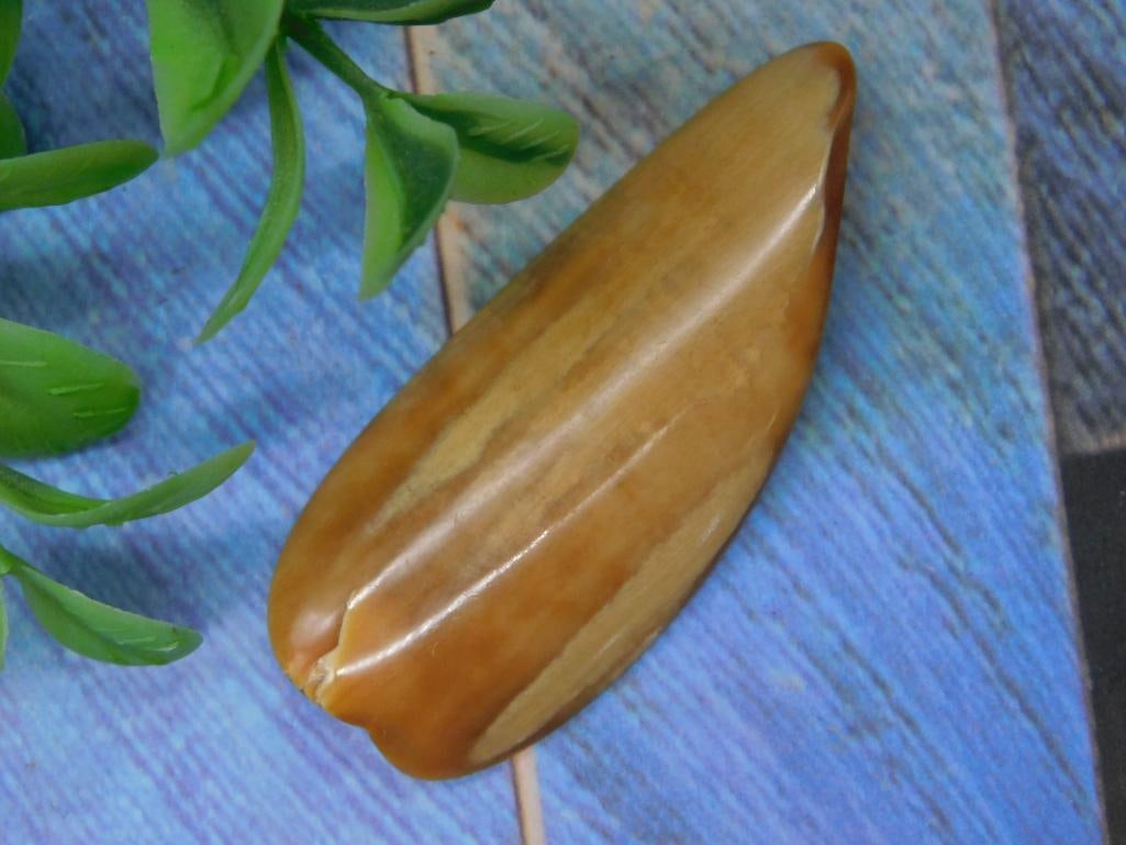 ROCK STONE LAPIDARY SPECIMEN: ROCK STONE LAPIDARY SPECIMEN