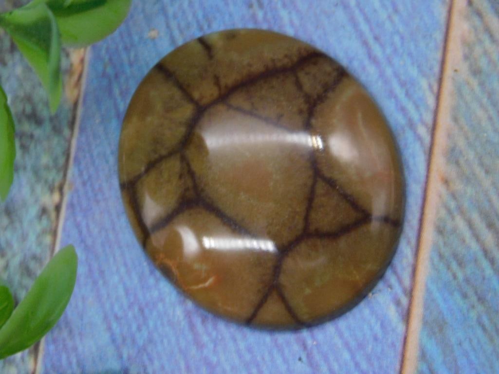 SPIDER WEB JASPER CABOCHON ROCK STONE LAPIDARY SPECIMEN: SPIDER WEB JASPER CABOCHON ROCK STONE LAPIDARY SPECIMEN