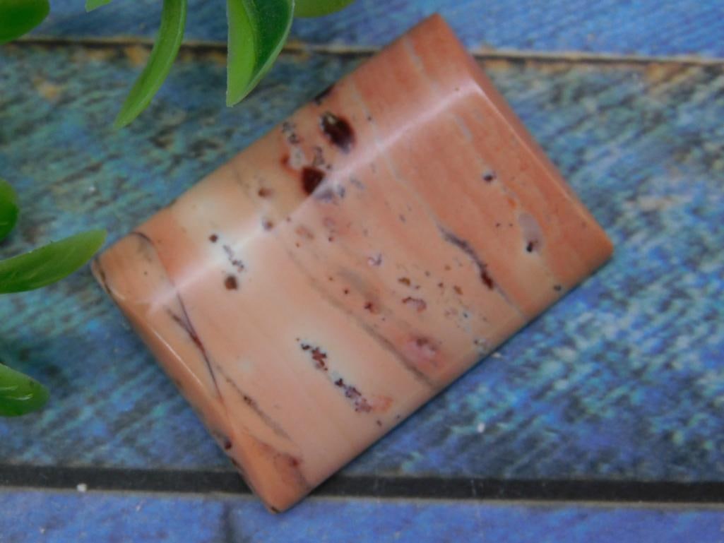 STONE CABOCHON ROCK STONE LAPIDARY SPECIMEN: STONE CABOCHON ROCK STONE LAPIDARY SPECIMEN