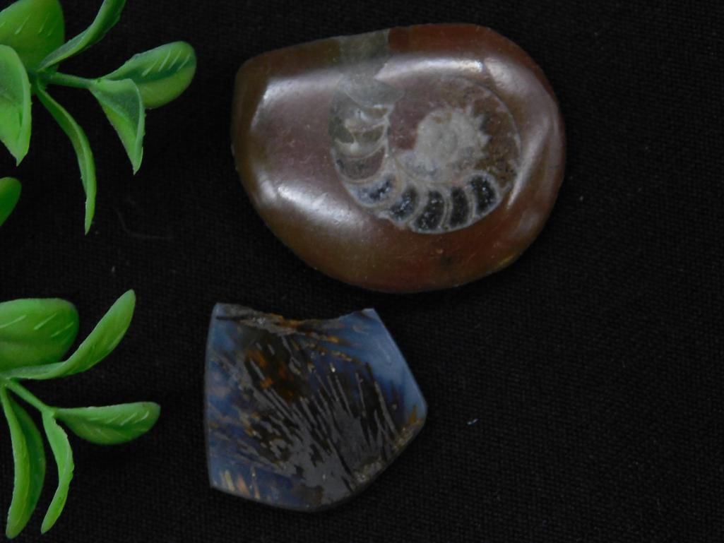 AGATE ROCK STONE LAPIDARY SPECIMEN (1 of 2)