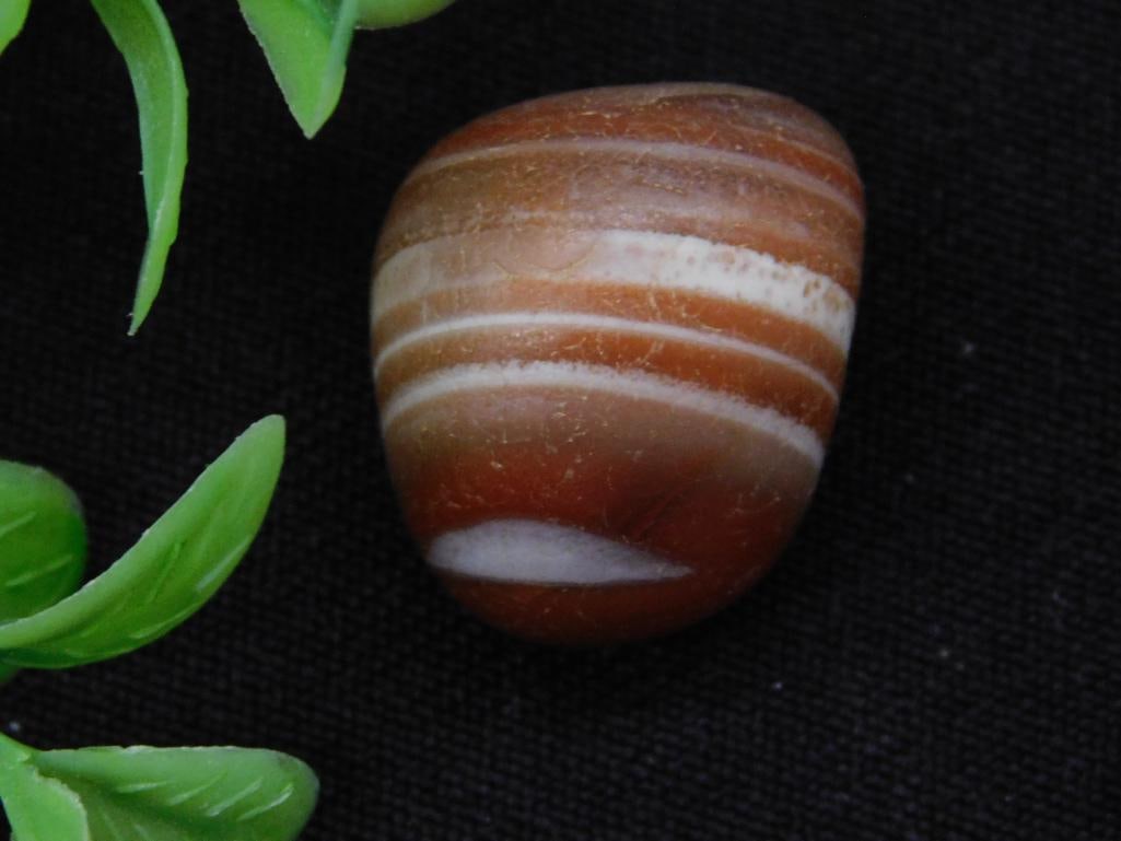 BANDED CARNELIAN ROCK STONE LAPIDARY SPECIMEN: BANDED CARNELIAN ROCK STONE LAPIDARY SPECIMEN