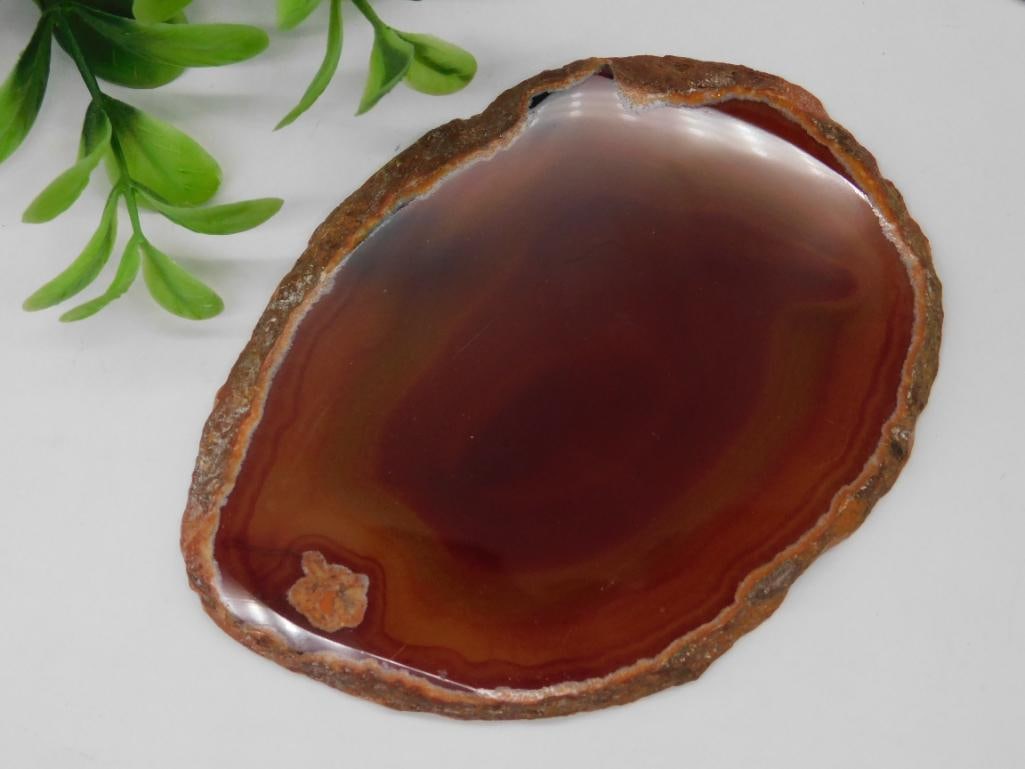 AGATE SLICE ROCK STONE LAPIDARY SPECIMEN (1 of 2)