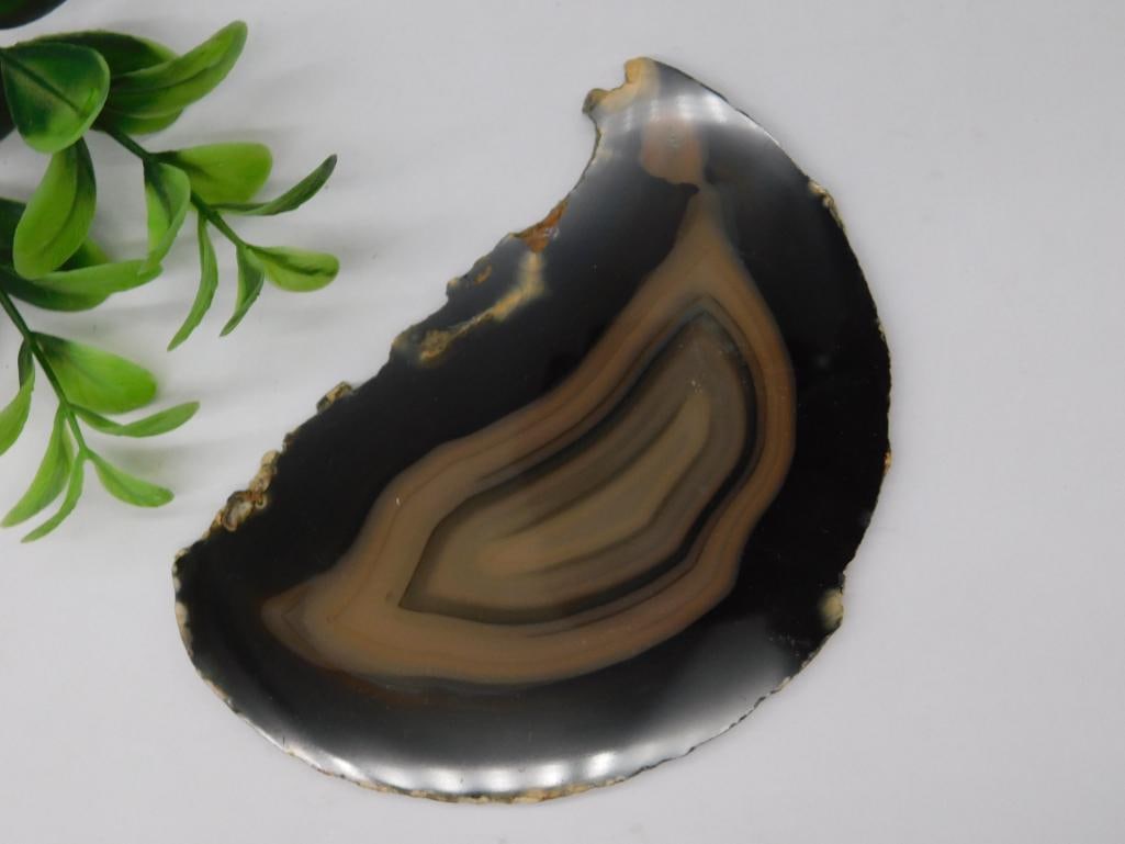 AGATE SLICE ROCK STONE LAPIDARY SPECIMEN (1 of 2)