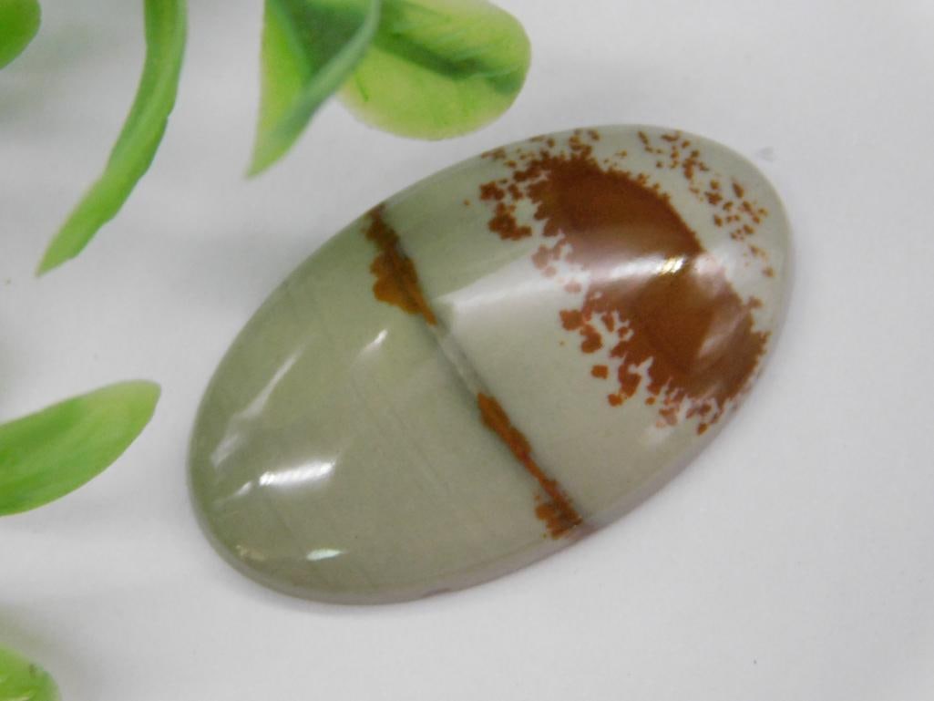 OWYHEE JASPER CABOCHON ROCK STONE LAPIDARY SPECIMEN (1 of 2)
