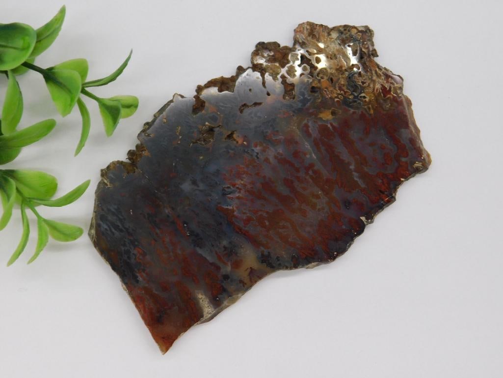 PLUME AGATE SLICE ROCK STONE LAPIDARY SPECIMEN (1 of 2)
