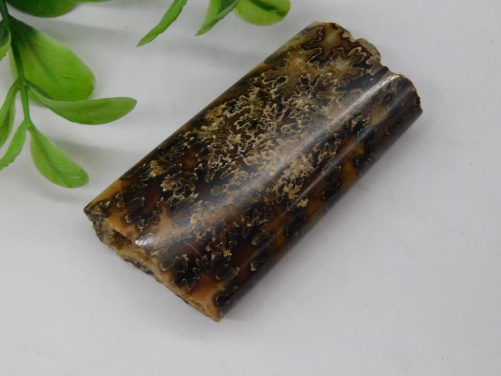 AMMONITE BACULITE ROCK STONE LAPIDARY SPECIMEN (1 of 4)