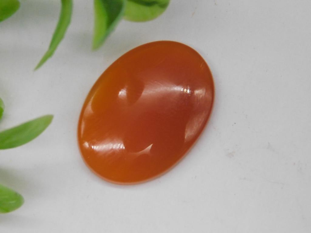 CARNELIAN CABOCHON ROCK STONE LAPIDARY SPECIMEN (1 of 2)