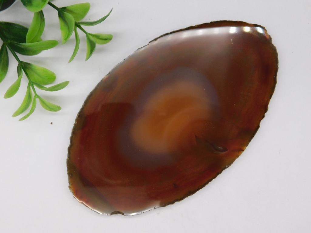 AGATE SLICE ROCK STONE LAPIDARY SPECIMEN (1 of 2)