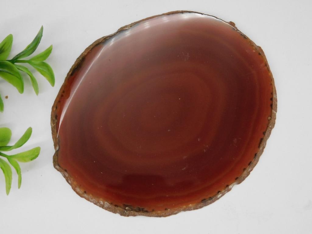 AGATE SLICE ROCK STONE LAPIDARY SPECIMEN (1 of 2)