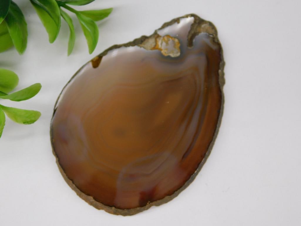 AGATE SLICE ROCK STONE LAPIDARY SPECIMEN (1 of 2)