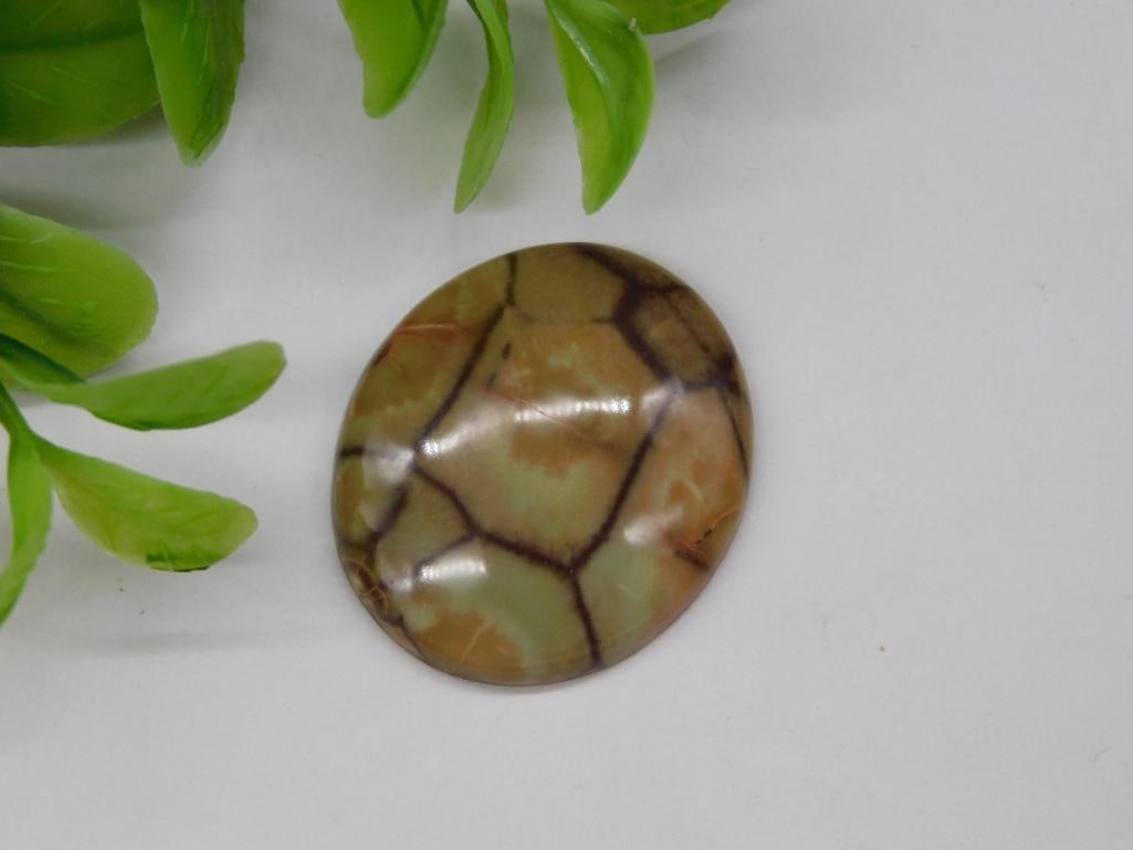 SPIDER RHYOLITE CABOCHON ROCK STONE LAPIDARY SPECIMEN: SPIDER RHYOLITE CABOCHON ROCK STONE LAPIDARY SPECIMEN