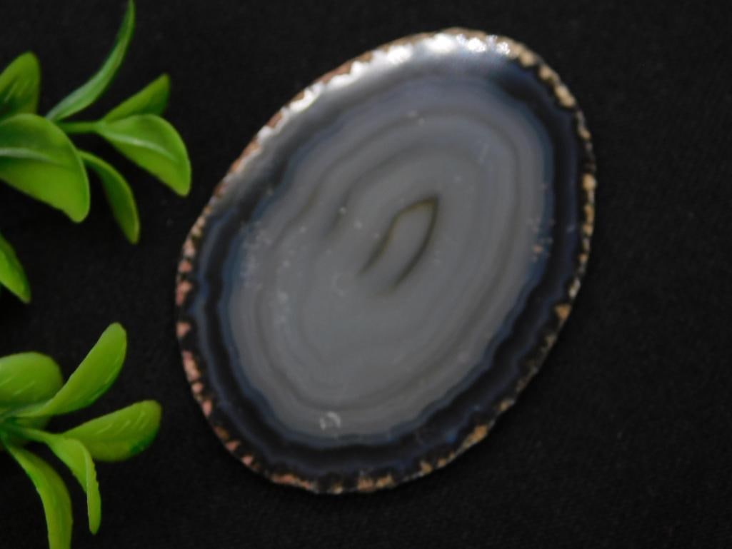 AGATE SLICE ROCK STONE LAPIDARY SPECIMEN (1 of 2)