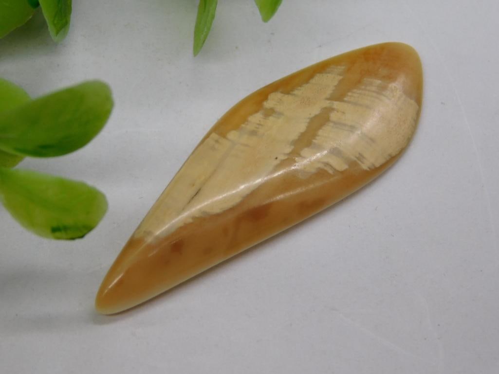 ROCK STONE LAPIDARY SPECIMEN: ROCK STONE LAPIDARY SPECIMEN