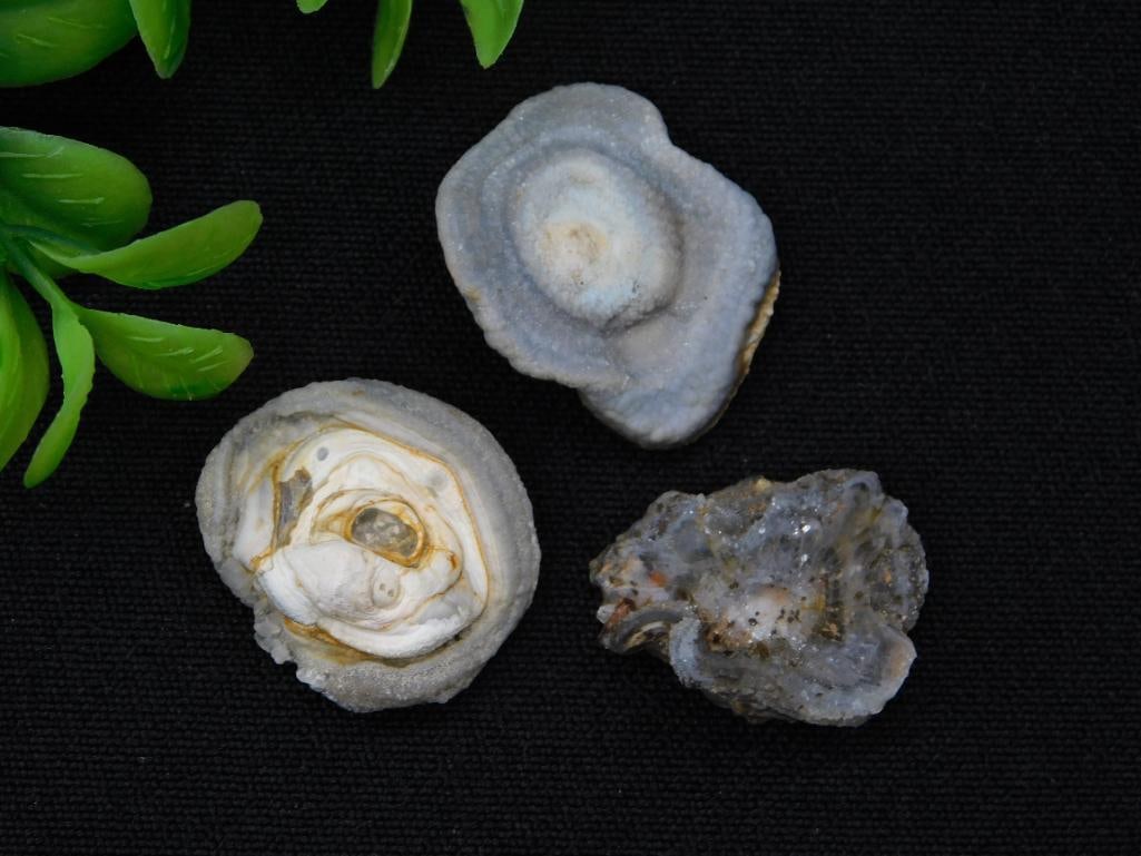 DRUZY CHALCEDONY ROCK STONE LAPIDARY SPECIMEN (1 of 2)