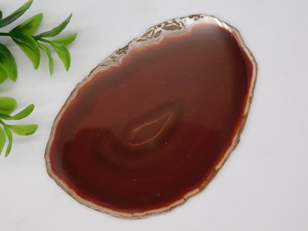 AGATE SLICE ROCK STONE LAPIDARY SPECIMEN (1 of 2)